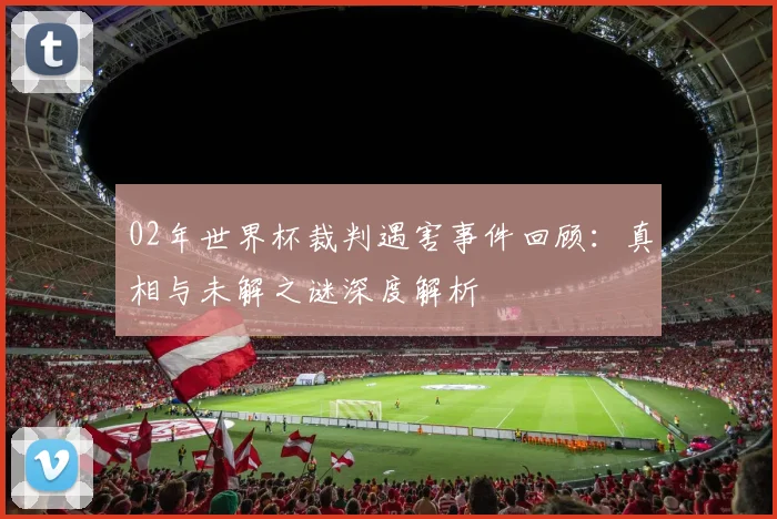 02年世界杯裁判遇害事件回顾：真相与未解之谜深度解析